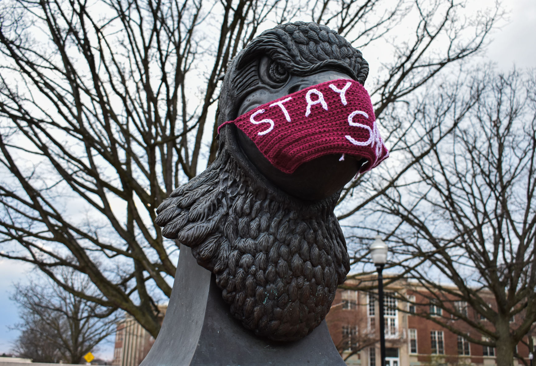 Reggie stay safe mask